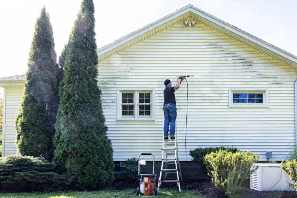 Best Gutter Cleaning  in Maple Grove, MN